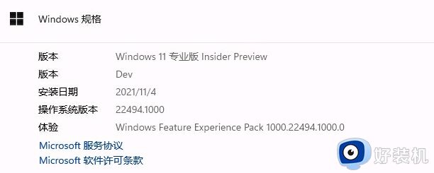 windows11预览版dev渠道iso镜像下载v22494.1000