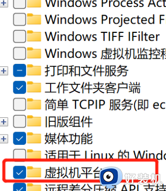 Win11运行VMware蓝屏为什么_win11运行vmware虚拟机蓝屏如何解决