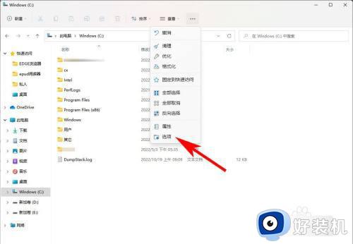 windows11隐藏文件夹怎么显示_windows11如何打开隐藏文件