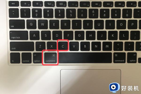 mac怎么剪切文件_苹果mac剪切快捷键是哪个