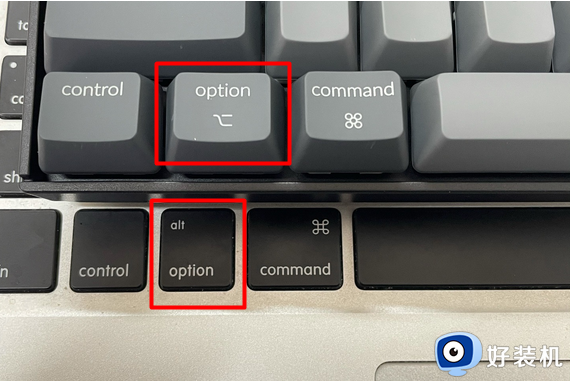 电脑option是哪个键 option在键盘哪个位置图片