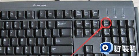 笔记本电脑字母键盘打不出字母怎么办 笔记本电脑字母键盘锁住了怎么解锁
