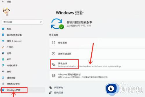 win11打开传递优化的方法_win11如何打开传递优化功能