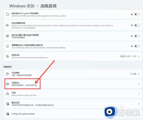 win11打开传递优化的方法_win11如何打开传递优化功能