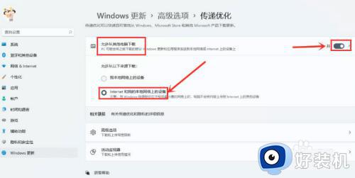 win11传递优化怎么打开_win11打开传递优化功能的详细方法