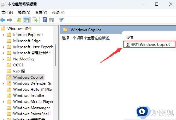 Win11怎样关闭Windows Copilot功能_Win11关闭Windows Copilot的两种方法