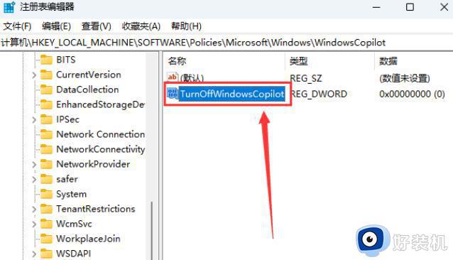 Win11怎样关闭Windows Copilot功能_Win11关闭Windows Copilot的两种方法