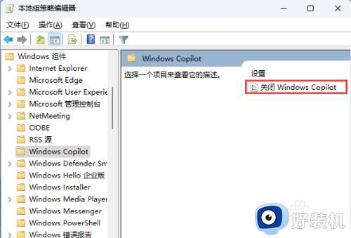 win11如何关闭Windows Copilot_win11关闭Windows Copilot的步骤