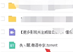 百度网盘怎么播放torrent文件_百度网盘播放torrent文件的步骤