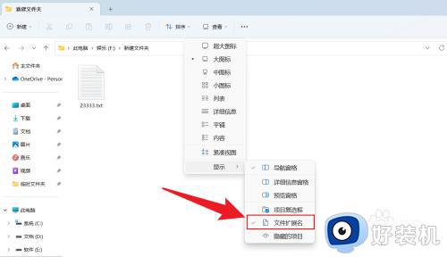 win11怎么显示文件扩展名后缀_win11显示文件扩展名的方法