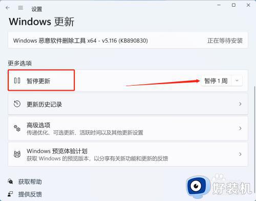windows11怎么禁止更新_windows11更新怎么取消