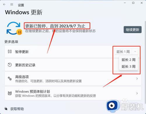 windows11怎么禁止更新_windows11更新怎么取消