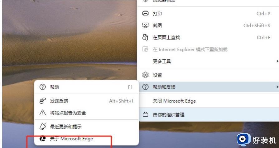 edge浏览器查看版本号的方法_怎么看microsoft edge浏览器的版本