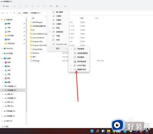windows11隐藏文件在哪里开?win11如何打开隐藏文件