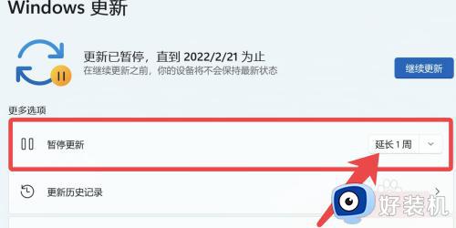 电脑怎么停止更新win11_win11电脑如何停止更新