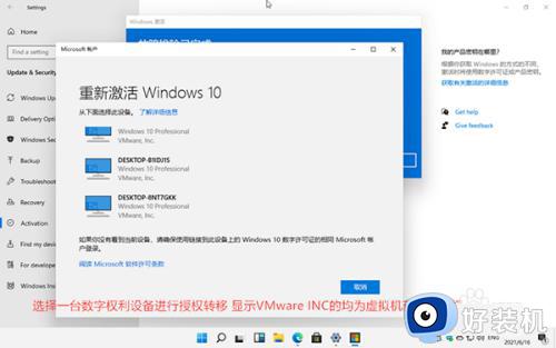 电话激活win11专业版系统教程_怎样电话激活win11专业版系统