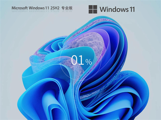 Windows11 25H2 26200.7922 X64 专业版