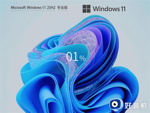 Windows11 25H2 26200.8037 专业版