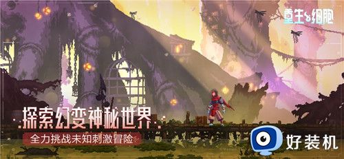 重生细胞中文版