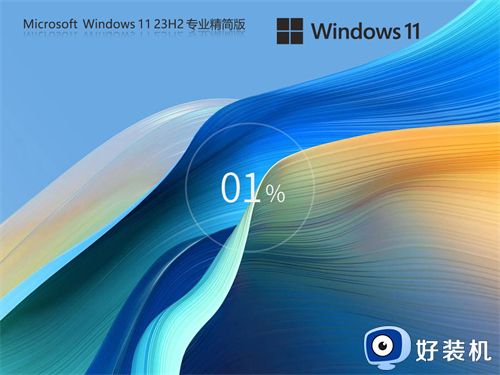 Windows11 23H2 64位 专业精简版