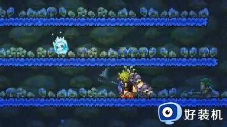 泰拉瑞亚松露虫怎么快速抓捕 泰拉瑞亚松露虫快速抓捕攻略