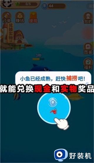 开心鱼塘红包版