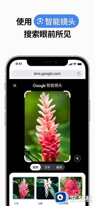 google chrome浏览器下载
