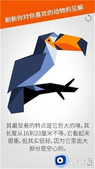 七巧板拼图无广告版