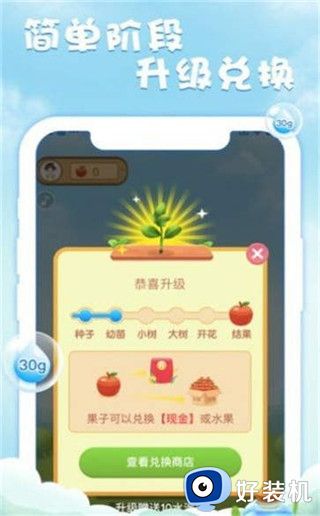 奇妙果园极速版