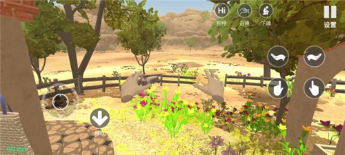 小忍计划模拟器手机版