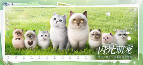 以闪亮之名ios版