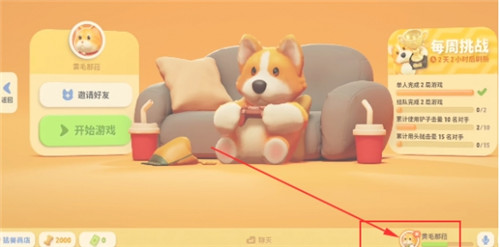 动物派对玩家怎么修改名字?动物派对玩家修改名字方法详情介绍