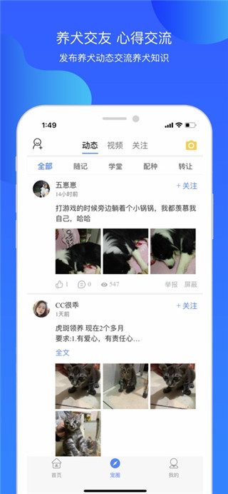犬卫士手机版