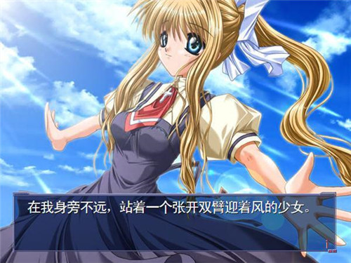 AIR鸟之诗中文版