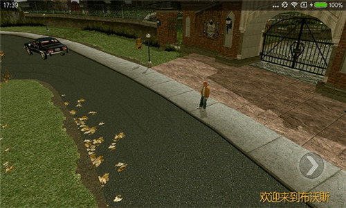 恶霸鲁尼汉化版