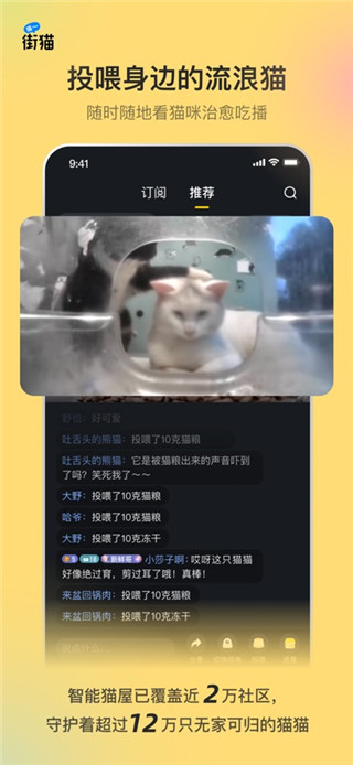 街猫安卓版
