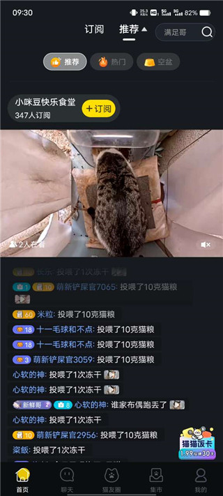街猫安卓版