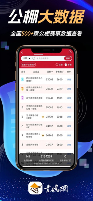 青鸽网最新版