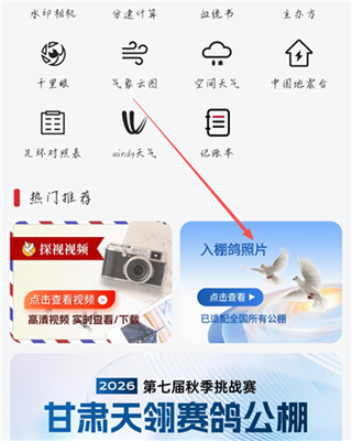 青鸽网最新版