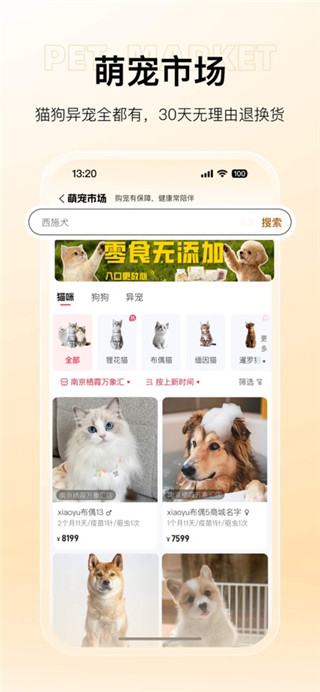 宠胖胖手机版