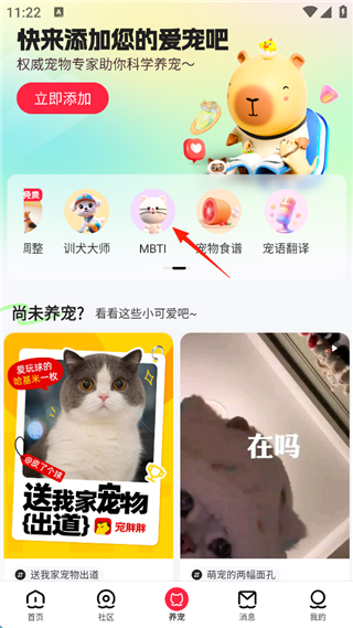 宠胖胖手机版