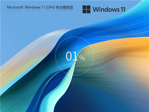 Win11 23H2 64位 专业精简版 免TPM版 v26.5.26