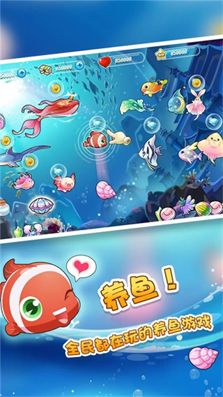 开心水族箱最新版