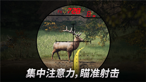 狩猎冲突免费版