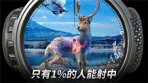 狩猎冲突免费版