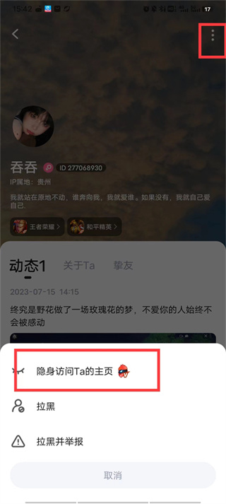 tt语音app怎么隐身访问