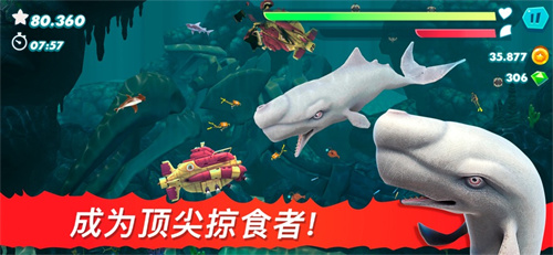 饥饿鲨进化中文版