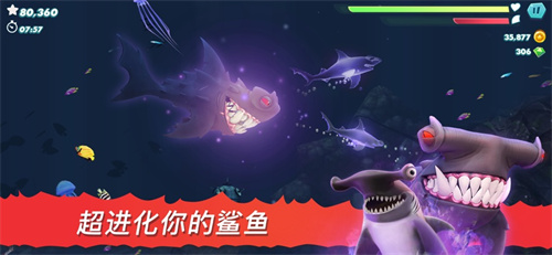 饥饿鲨进化中文版