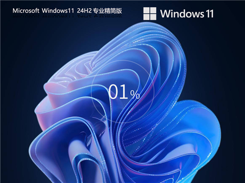 【少量精简】Windows11 24H2 64位 专业精简版镜像 v26.6.4