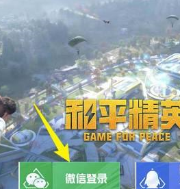 和平精英怎么使用动作-和平精英动作使用方法技巧攻略一览